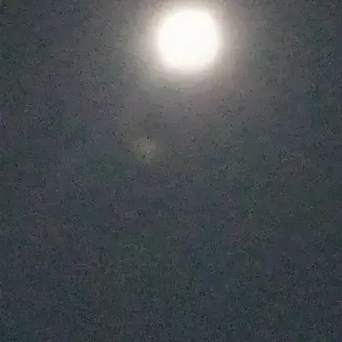 Profile image of 今國一成