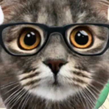 Profile image of 윤서 재현