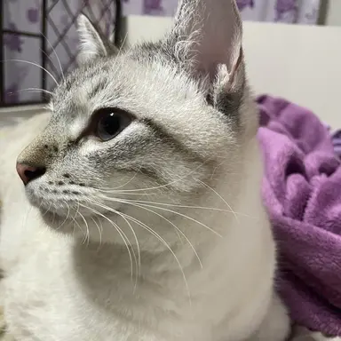 Profile image of ミルキー