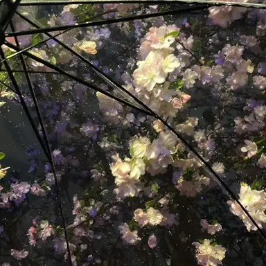 Profile image of 서 라더