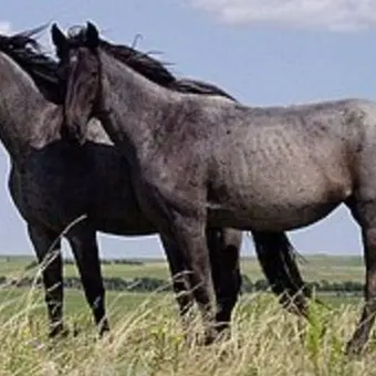 Profile image of Aldric