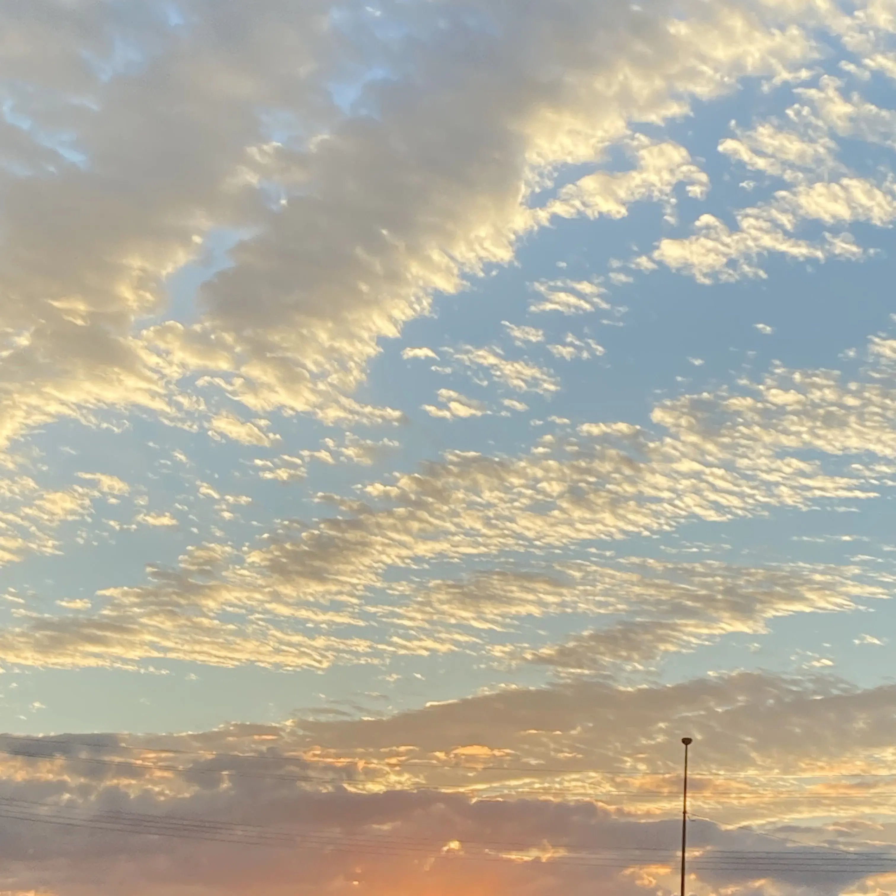 MellowZoo6144의 {{user}}の産卵期