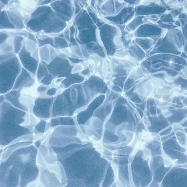 Profile image of 슼즈나라의 왕