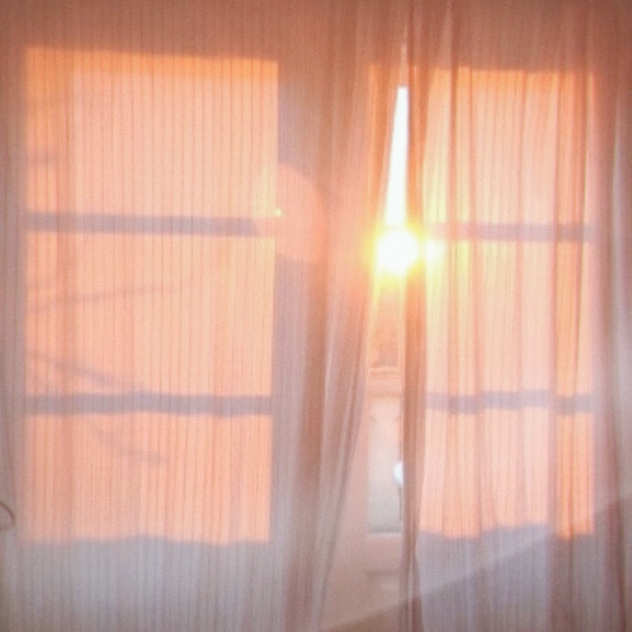 박덕개