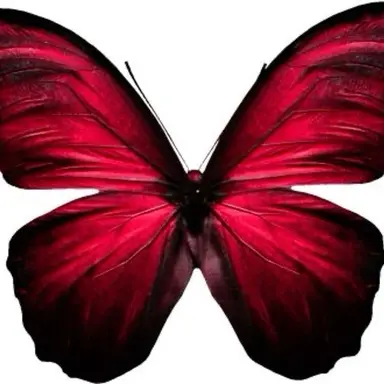 Profile image of Michiko