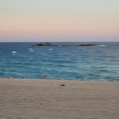 Profile image of 당찬