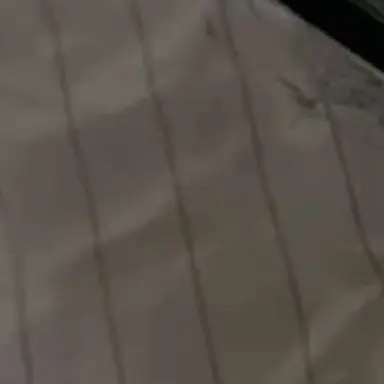 Profile image of 전이정