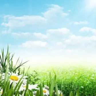 Profile image of 정공룡