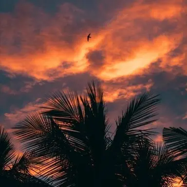 Profile image of 박덕개