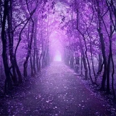 Profile image of 황수현