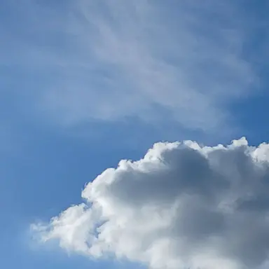 Profile image of 모두