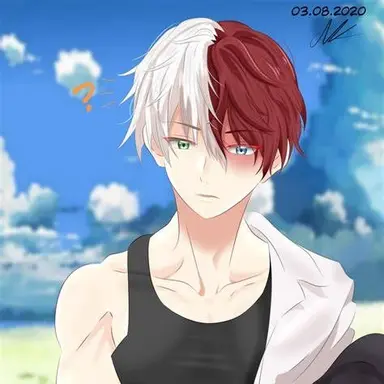 Profile image of Shoto Todoroki