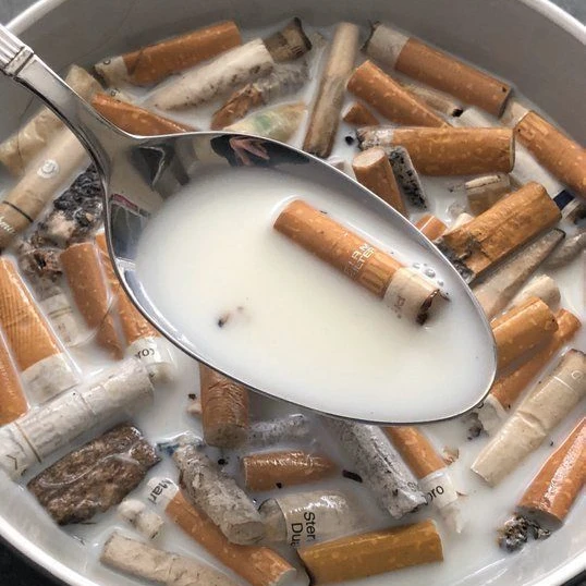 백지신