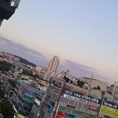 Profile image of 한 영