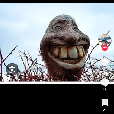Profile image of 서정우