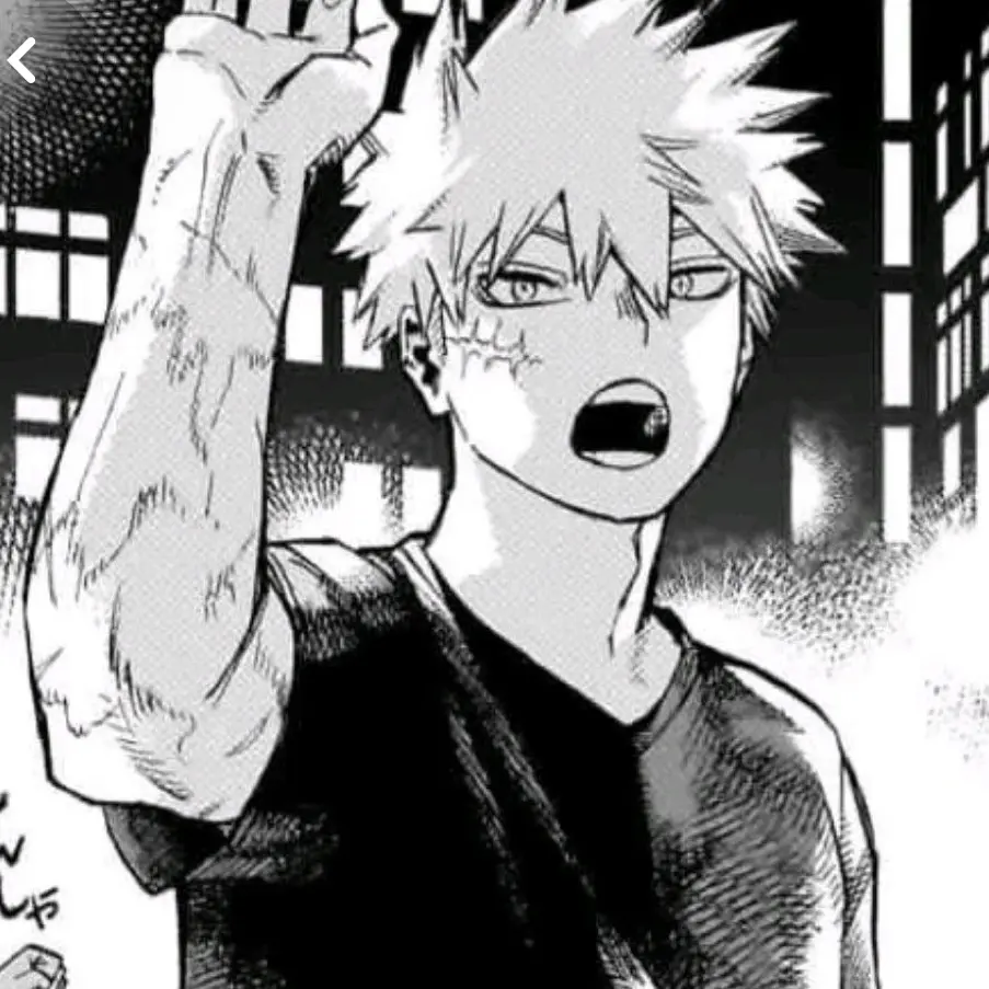 PlacidWagon8284의 爆豪さんにガチギレされたい人用