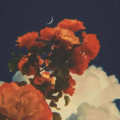 Profile image of 박영환