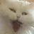 취두부 6세