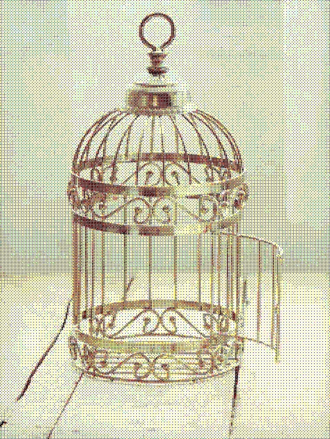 eatyou의 매 사냥