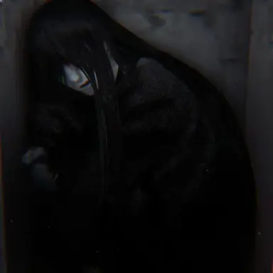 Profile image of 這いばい男