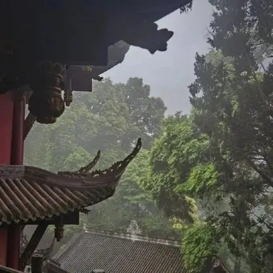 Profile image of 구미호