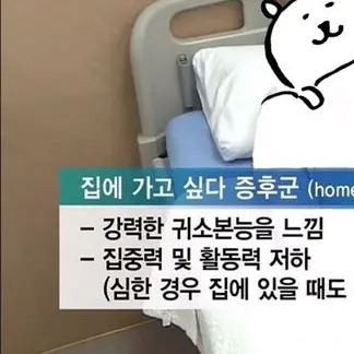 CreamyMatch8798의 흔한남매 과학탐험대