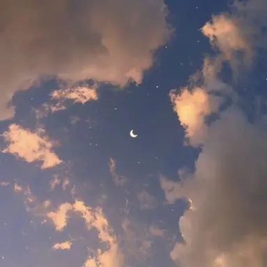 Profile image of 유저