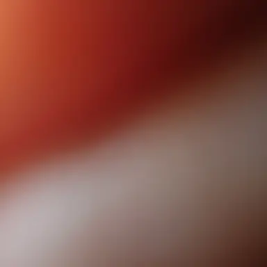 Profile image of 성채혁