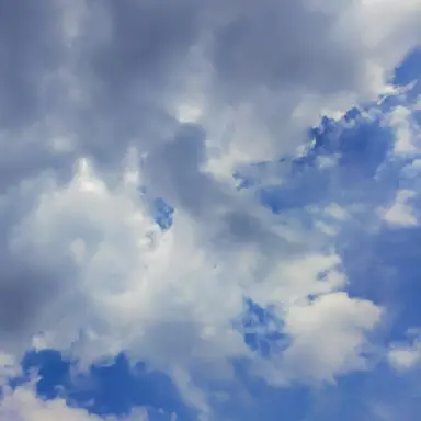 Profile image of 번지