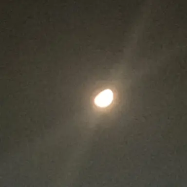 Profile image of 鯉登音之進