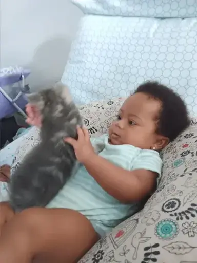 Profile image of Ronan