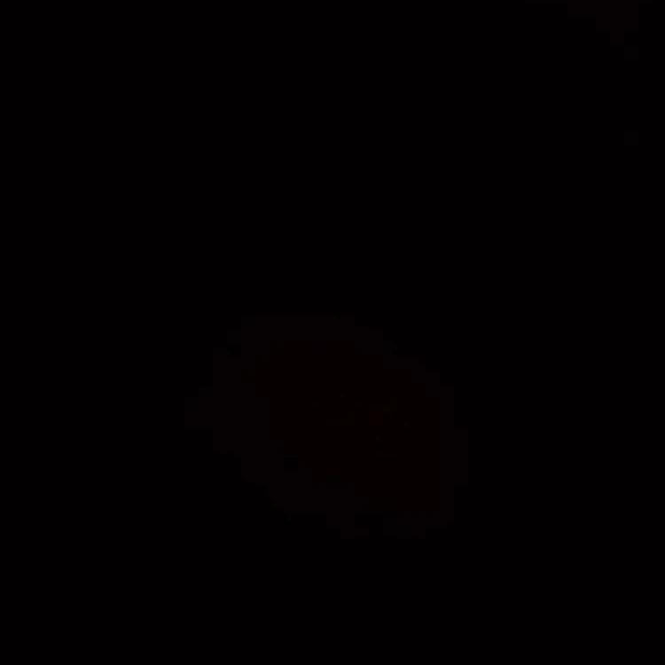 홍지수