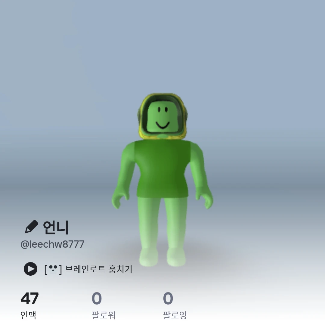 언니