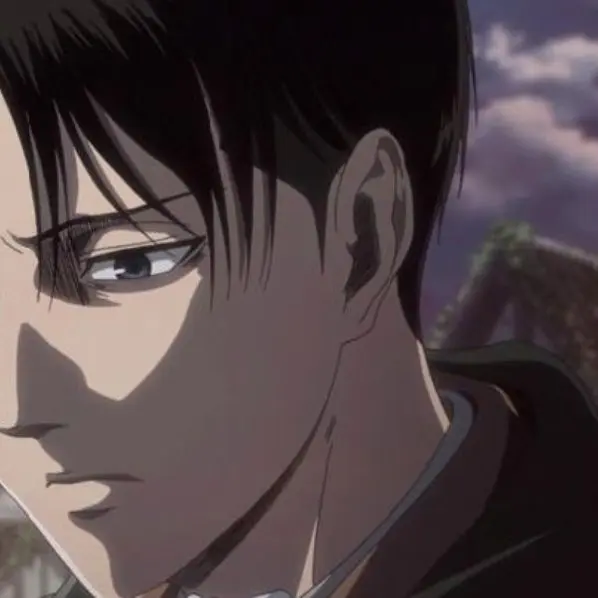 DaftDuck3200의 리바이 아커만