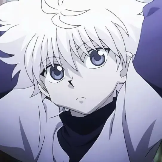 VitalSweet1194의 HUNTER×HUNTER 緋色の幻影