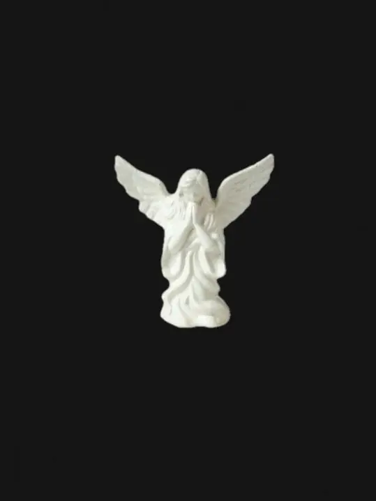 MyCatHatesMe의 1 0 0 4 . . .