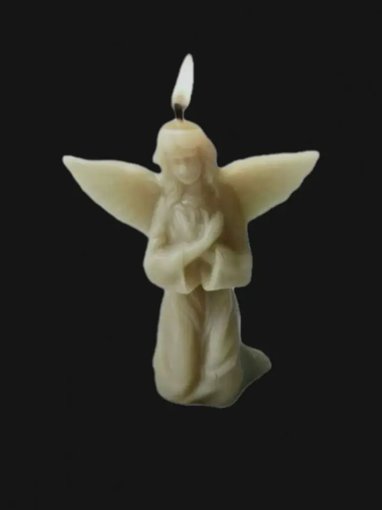 MyCatHatesMe의 1 0 0 4 . . .