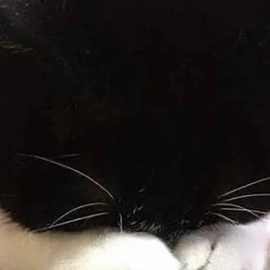 Profile image of 김정수