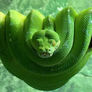Profile image of ムン・サヒョン