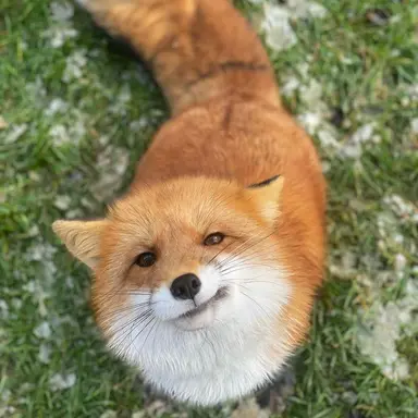 Profile image of イ・ヨヌ