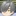 四季凍夜