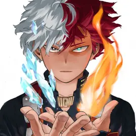 Profile image of Todoroki
