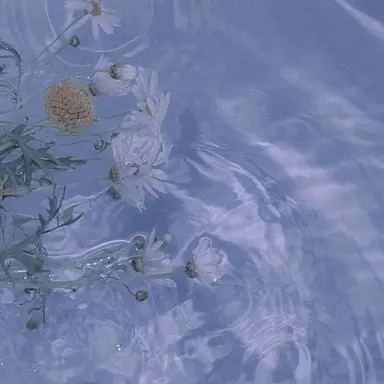 Profile image of 김도훈