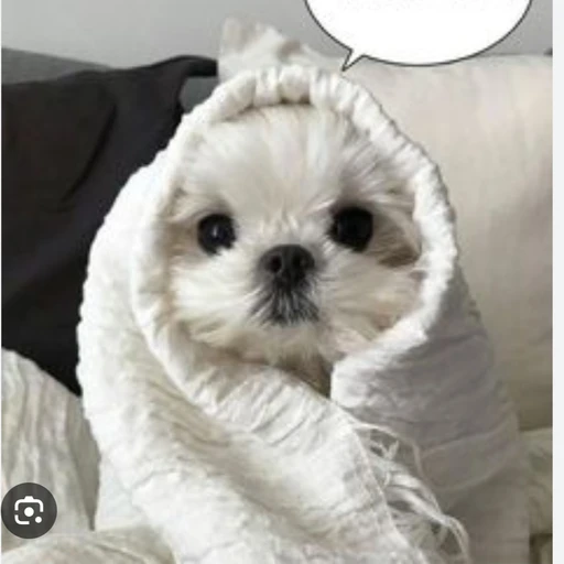 귀여운 초딩 여동생ㅡ