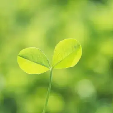 Profile image of 原嘉孝