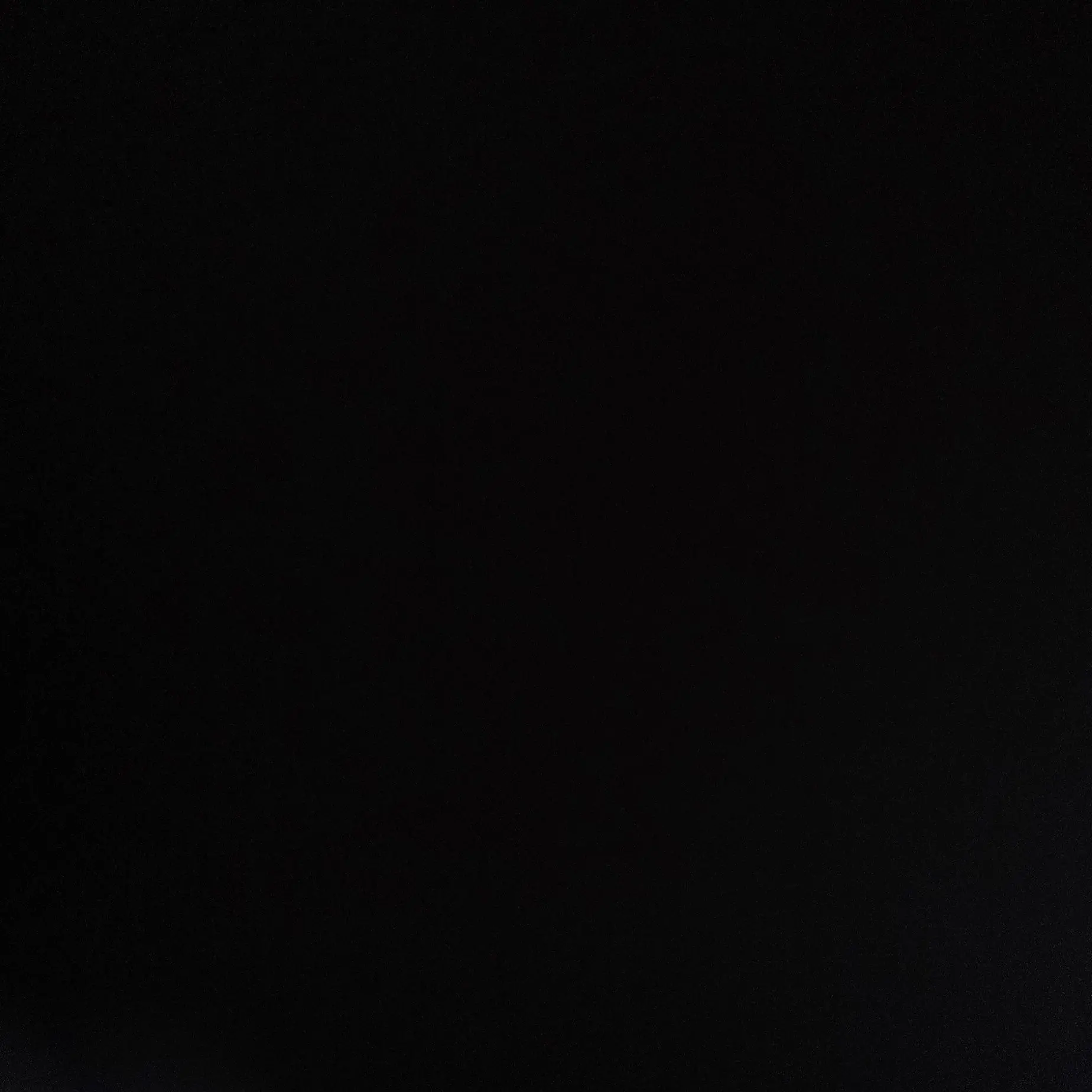 PainedWool6157의 학생들