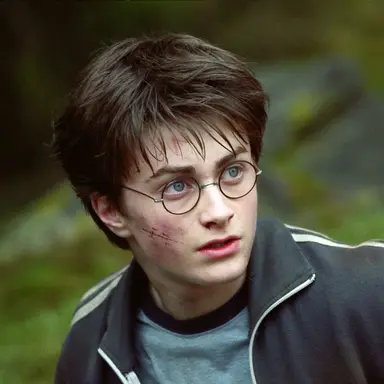 Profile image of Harry