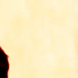 Profile image of 照