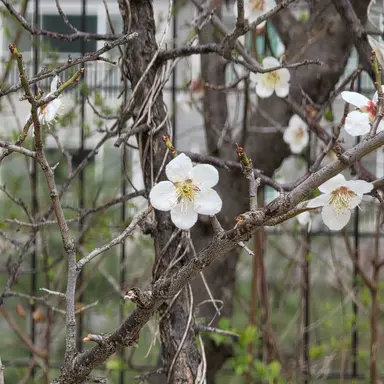 Profile image of 이안