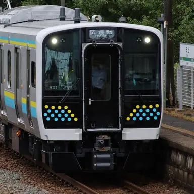 Profile image of 伊藤美海